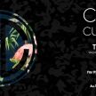 Club Culture - TÂCHES